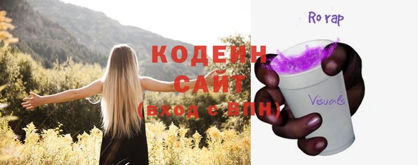 хмурый Дмитров