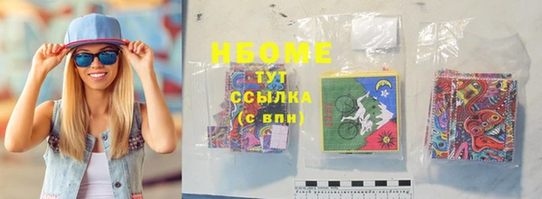 хмурый Дмитров