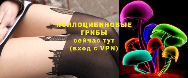 хмурый Дмитров