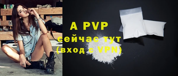 хмурый Дмитров