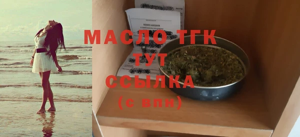 хмурый Дмитров