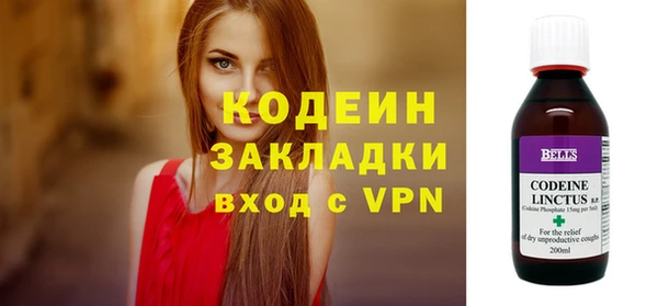 хмурый Дмитров