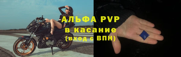 хмурый Дмитров