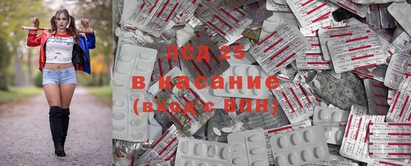мескалин Дмитриев