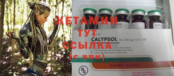 сатива Ельня