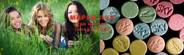 хмурый Дмитров