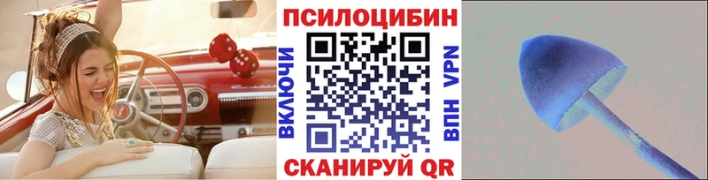 купить закладку  площадка состав  кракен ТОР  Галлюциногенные грибы мухоморы  Салаир 