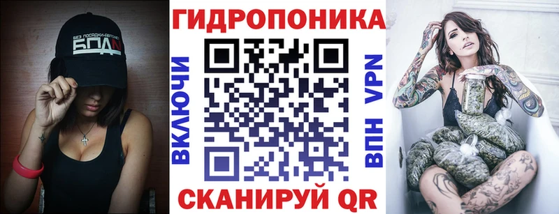 Шишки марихуана марихуана Салаир